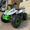 Электроквадроцикл ECO Lizard 48V30AH