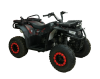 Бензиновый квадроцикл MOTAX GRIZLIK W200 красный