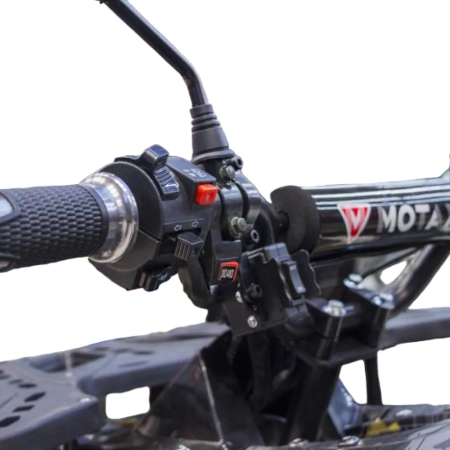 Электроквадроцикл Motax E3000 R Электрический