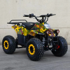Электроквадроцикл ECO MINI X3 36V15AH