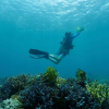 Подводный электроскутер MANTA синий