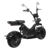 Электроскутер SkyBoard Baikal BR50-3000 PRO MAX 