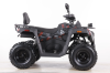 Бензиновый квадроцикл MOTAX GRIZLIK T250 BASIC красный