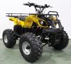Квадроцикл GreenCamel Atakama T240 (48V 1000W R8 Дифференциал) пониженная Золотая осень