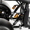Трехколесный электроскутер CityCoco TRIKE GT-X11 Grand